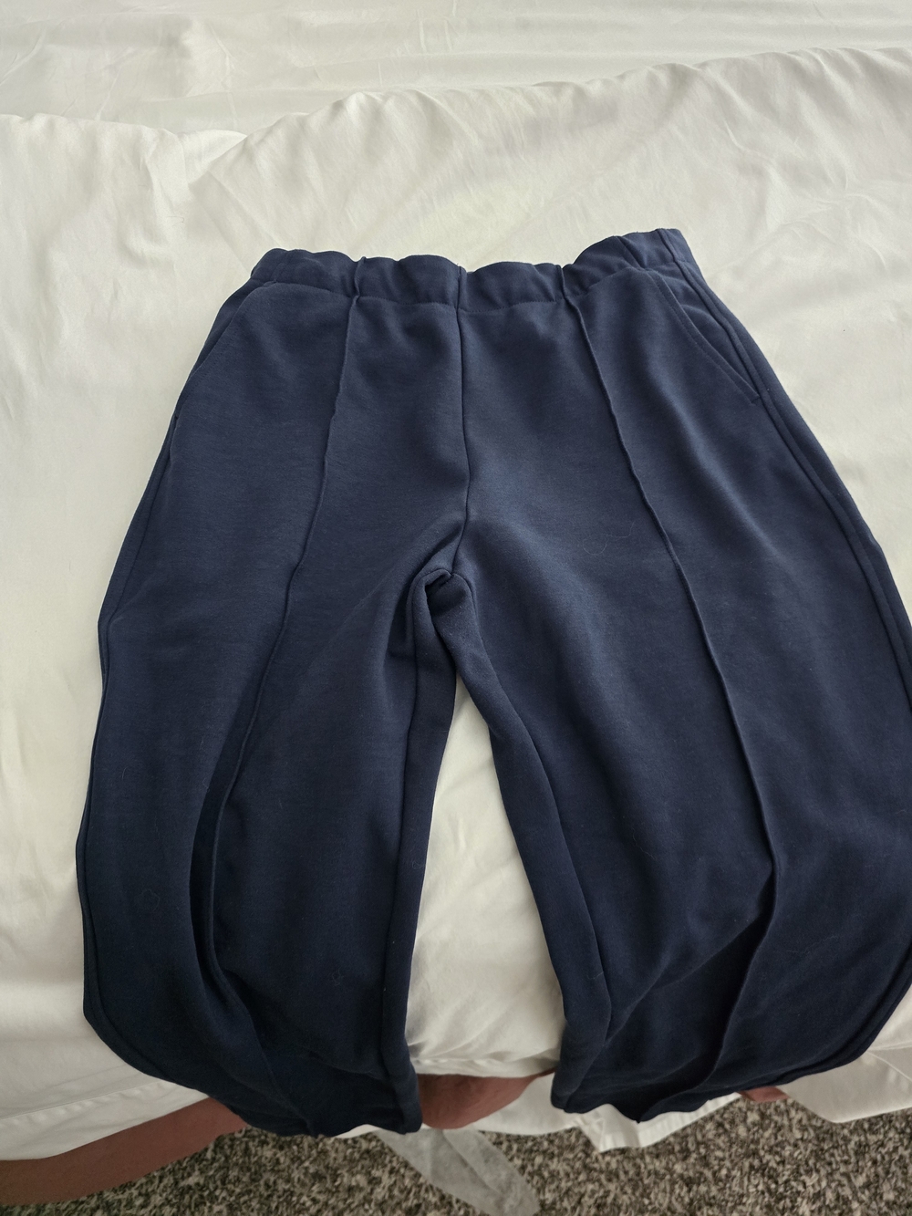 Everlane Navy Cropped Jogger Pants